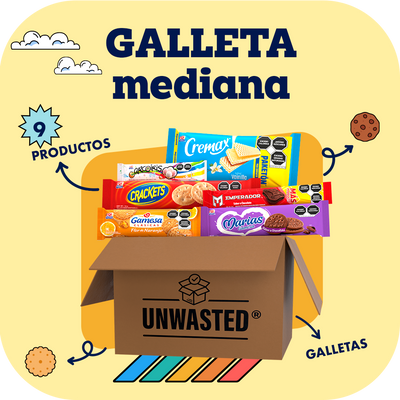 Mystery Box Mediana Galleta