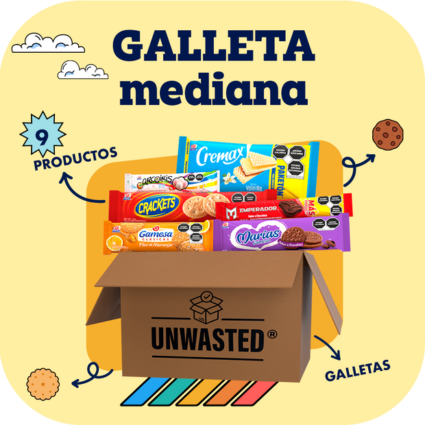 Mystery Box Mediana Galleta